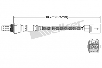 Oxygen Sensor