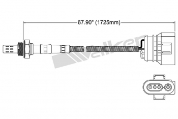 Oxygen Sensor