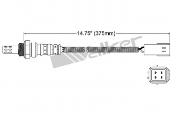 Oxygen Sensor