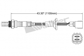 Oxygen Sensor
