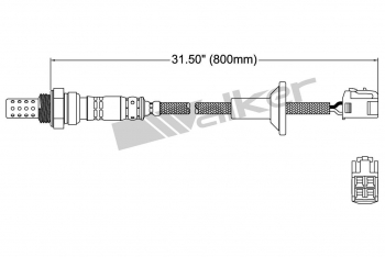 Oxygen Sensor