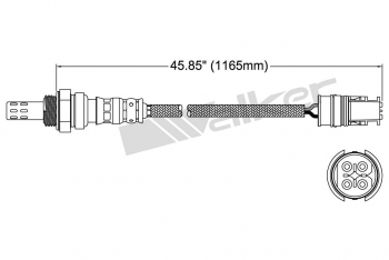 Oxygen Sensor