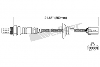 Oxygen Sensor