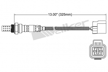 Oxygen Sensor