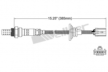 Oxygen Sensor
