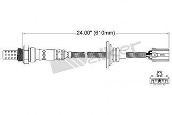 Oxygen Sensor