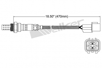 Oxygen Sensor
