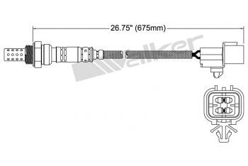 Oxygen Sensor