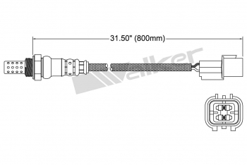 Oxygen Sensor