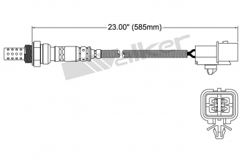 Oxygen Sensor