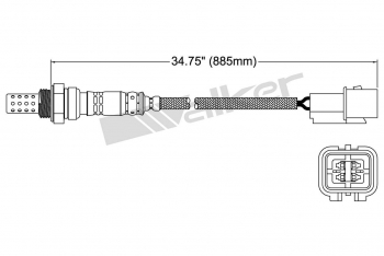 Oxygen Sensor