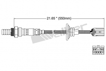 Oxygen Sensor