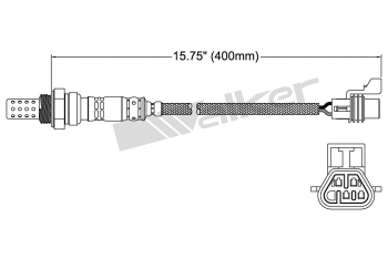 Oxygen Sensor