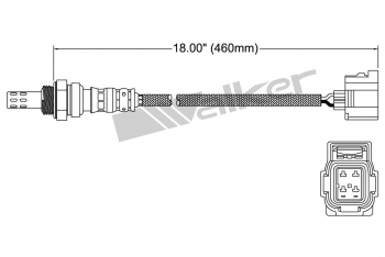 Oxygen Sensor