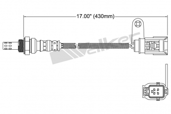 Oxygen Sensor