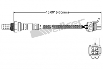 Oxygen Sensor