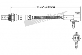 Oxygen Sensor