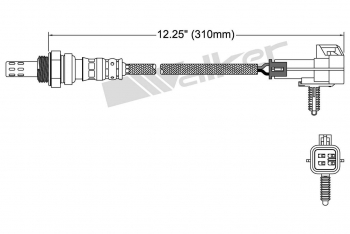 Oxygen Sensor