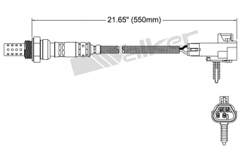 Oxygen Sensor