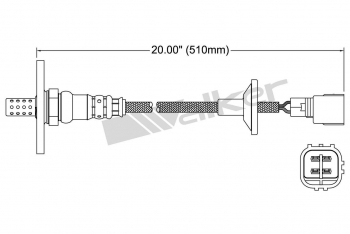 Oxygen Sensor