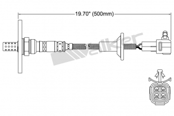 Oxygen Sensor