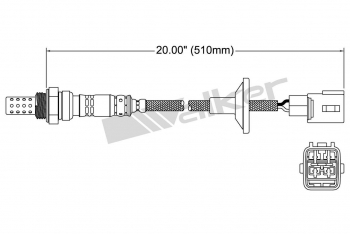 Oxygen Sensor