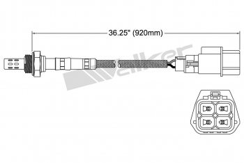 Oxygen Sensor