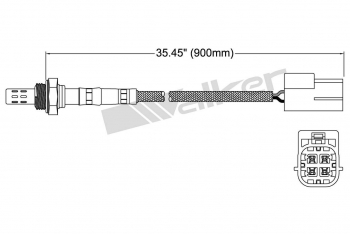 Oxygen Sensor