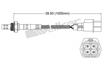 Oxygen Sensor
