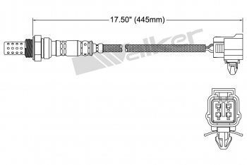 Oxygen Sensor