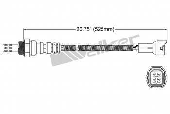 Oxygen Sensor
