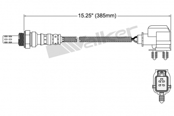 Oxygen Sensor