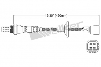 Oxygen Sensor