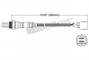 Oxygen Sensor
