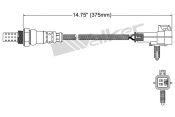 Oxygen Sensor