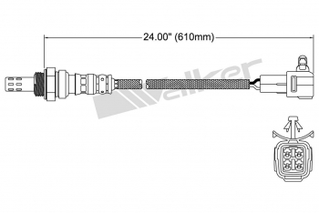 Oxygen Sensor