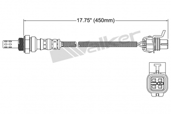 Oxygen Sensor