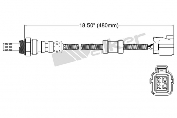 Oxygen Sensor