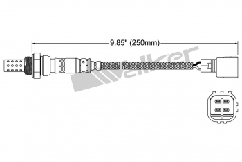 Oxygen Sensor