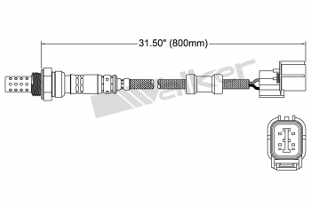 Oxygen Sensor