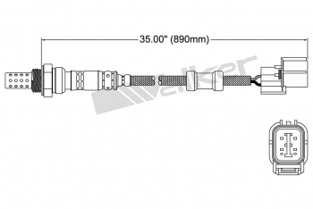 Oxygen Sensor