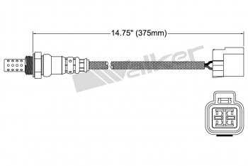 Oxygen Sensor