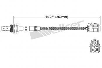 Oxygen Sensor