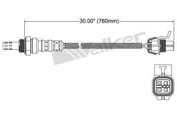 Oxygen Sensor