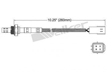 Oxygen Sensor