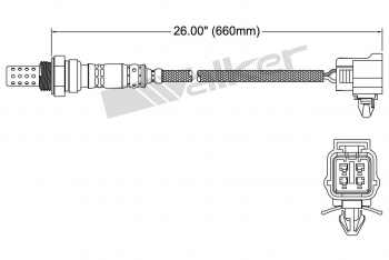 Oxygen Sensor