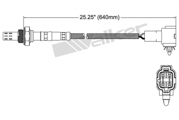 Oxygen Sensor