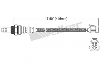 Oxygen Sensor