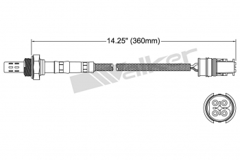 Oxygen Sensor