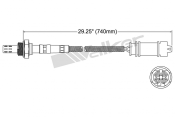 Oxygen Sensor